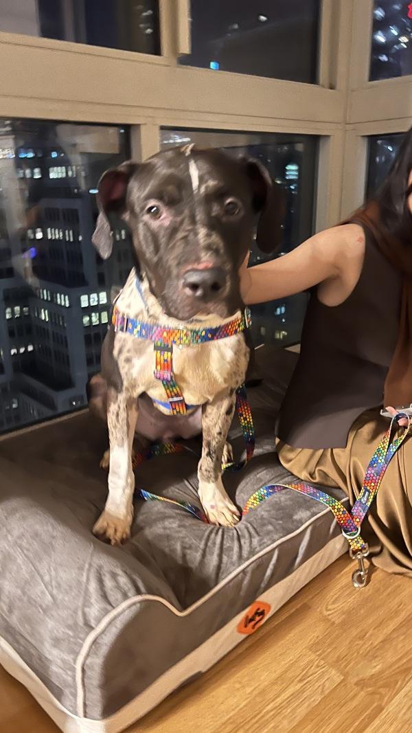 One Bunzy thumbnail 3