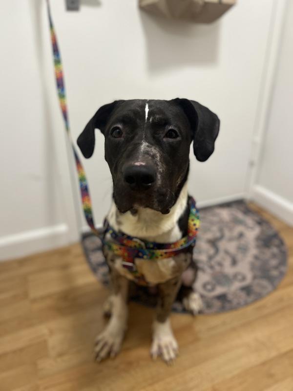 One Bunzy thumbnail 4