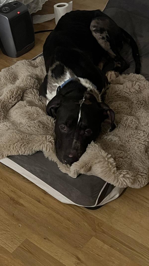 One Bunzy thumbnail 5