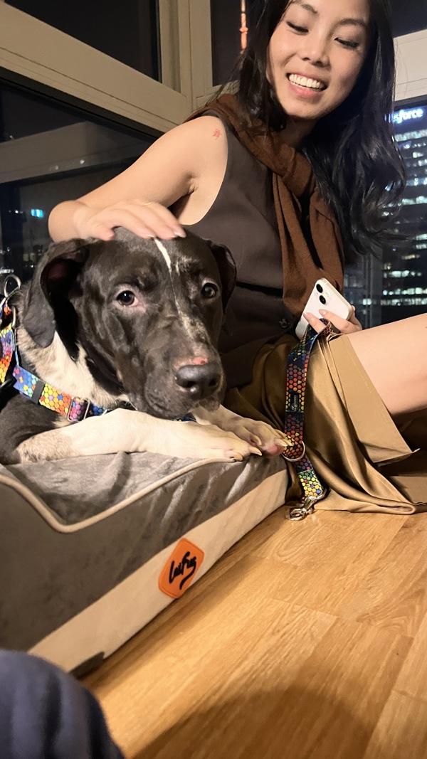 One Bunzy thumbnail 6