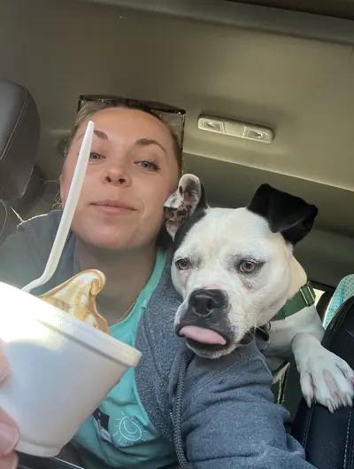 Mara, Adoptable, Young Female Boxer & Bull Terrier.