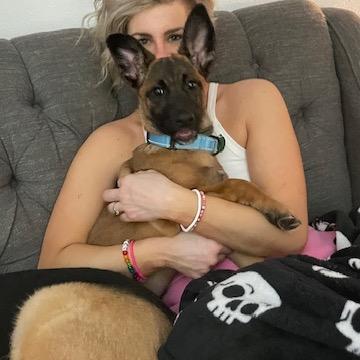 Enlarge Zulu, a Adoptable Mixed Breed in Sioux Falls, SD image 3/4