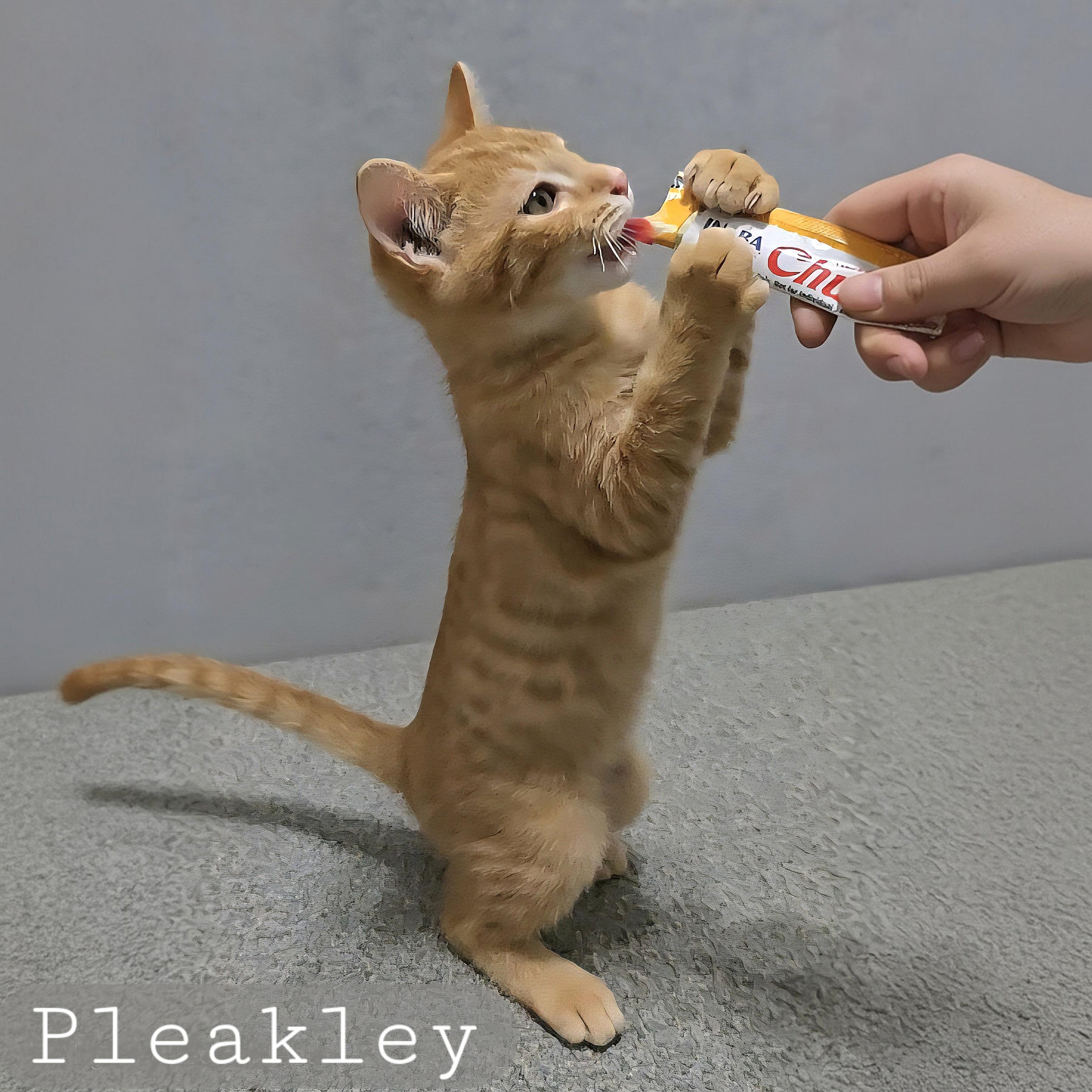 Pleakley