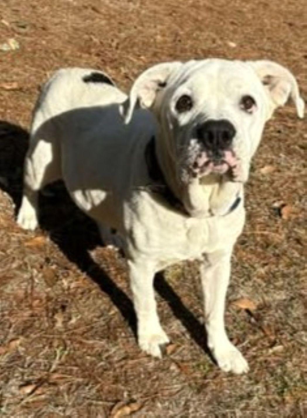 Elsa — thumbnail 3