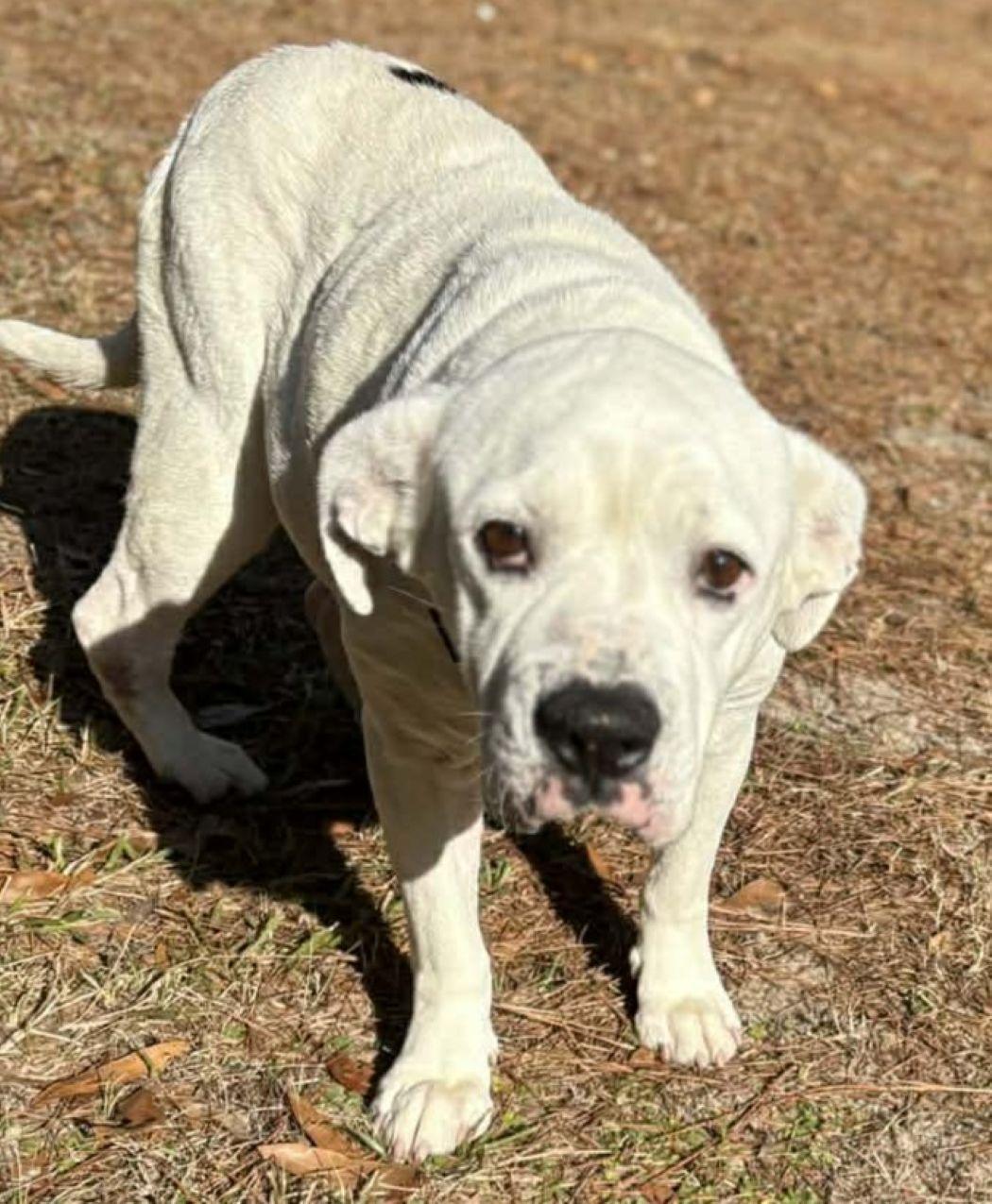 Elsa — thumbnail 4