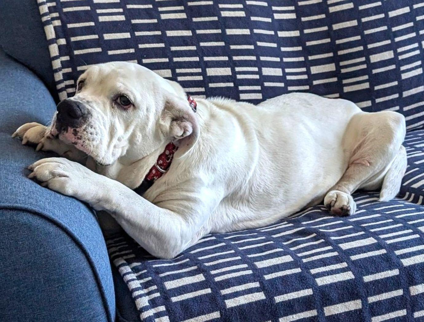 Elsa — thumbnail 5