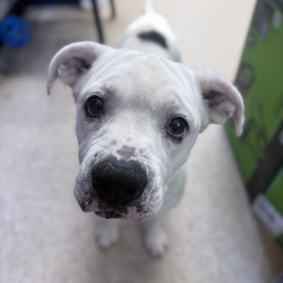 Elsa — thumbnail 6