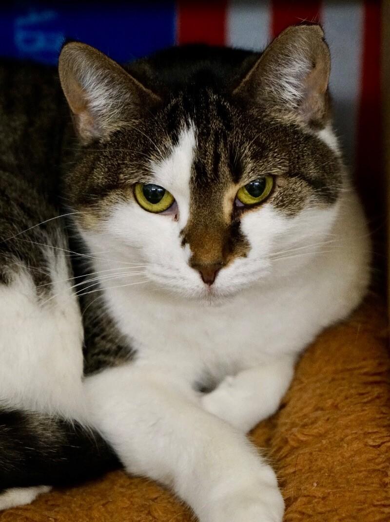 Olivia — thumbnail 2