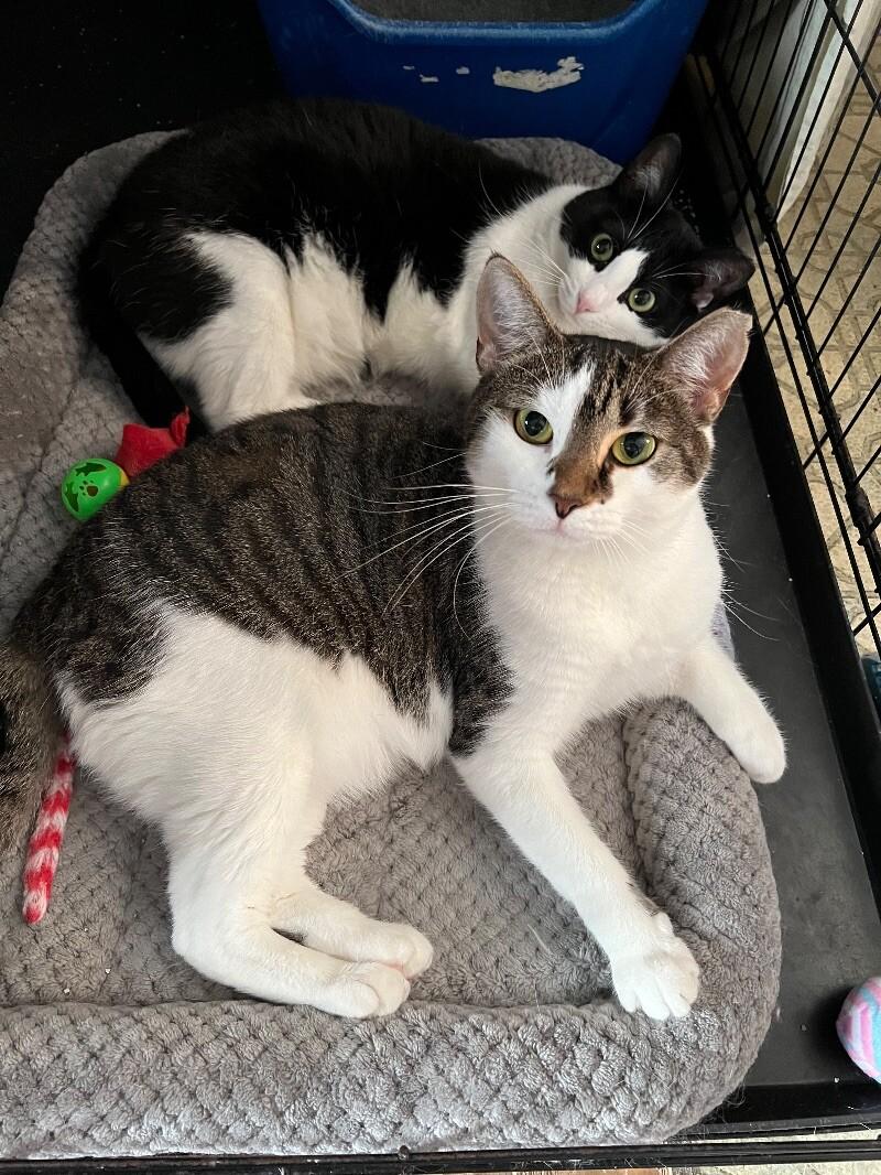 Olivia — thumbnail 4