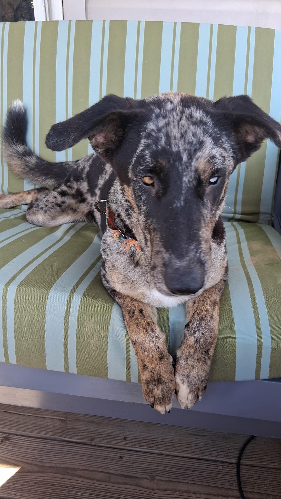 Maggie