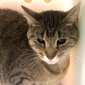 Kalena — thumbnail 2