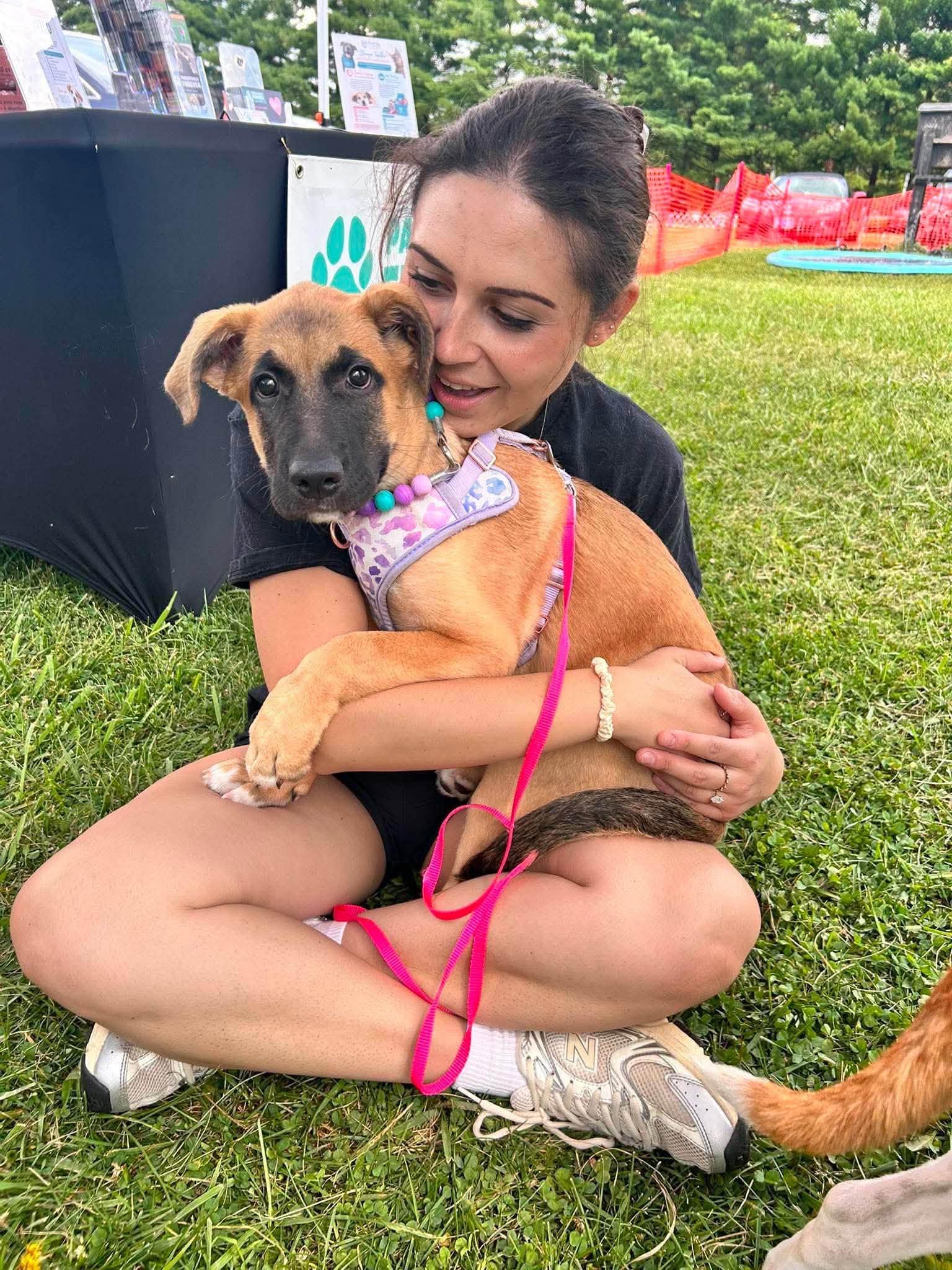 Enlarge Azra, a Adoptable Mixed Breed in Woodstock, ON image 6/6