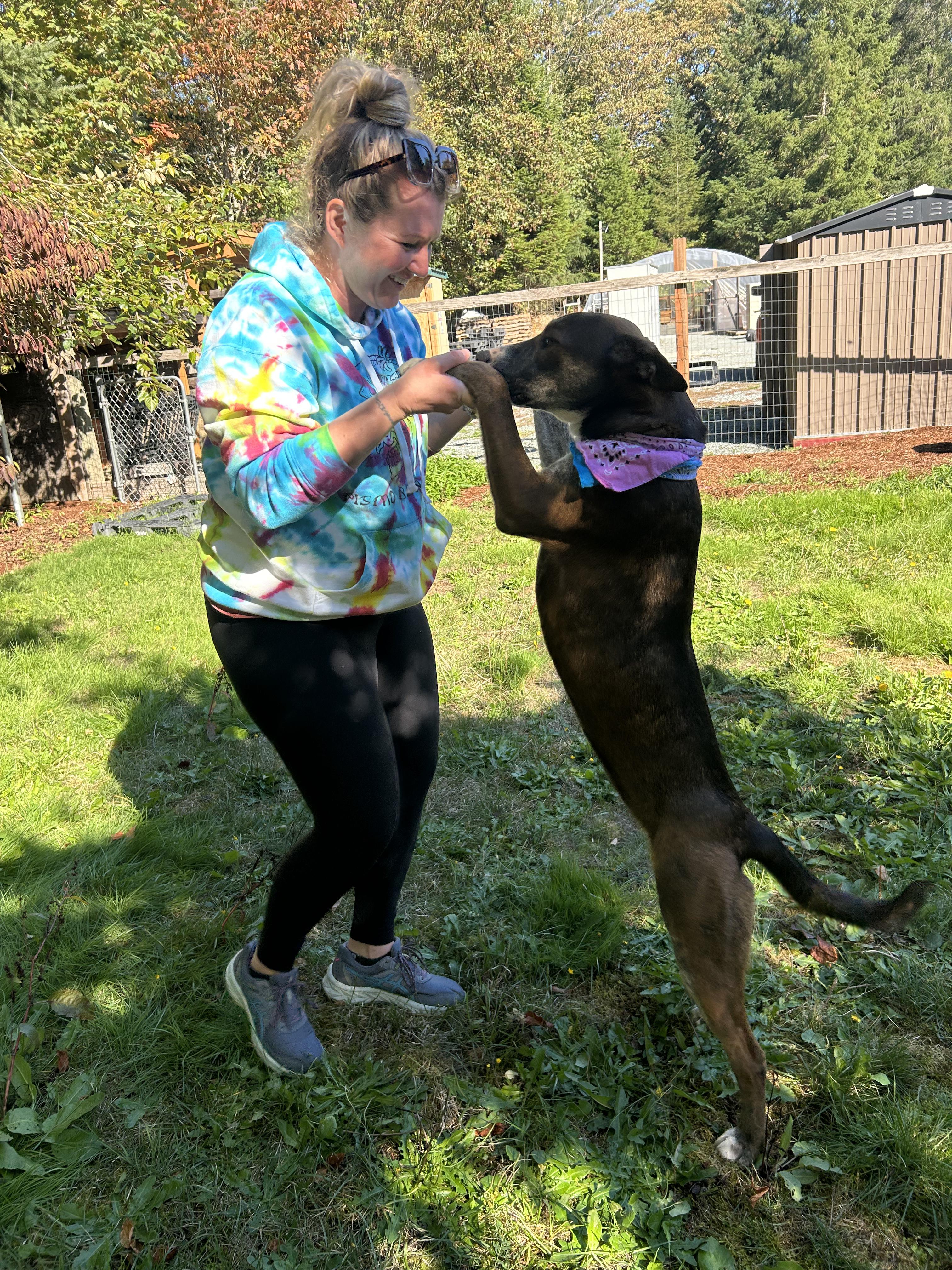 Enlarge Jazzy, a Adoptable mixed breed in AUBURN, WA image 3/5