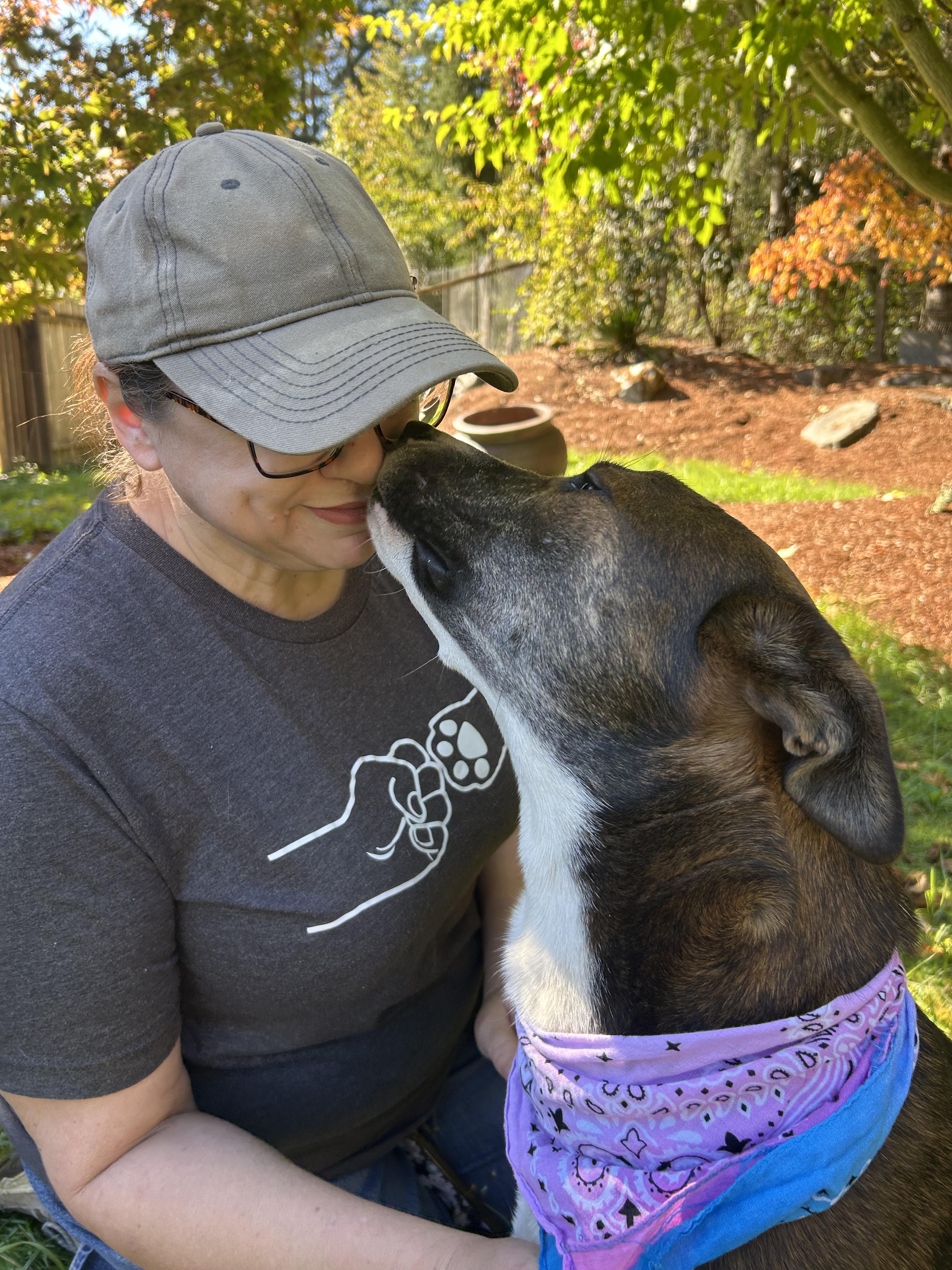 Enlarge Jazzy, a Adoptable mixed breed in AUBURN, WA image 4/5