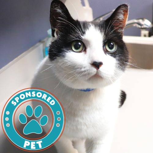 Seven — thumbnail 3