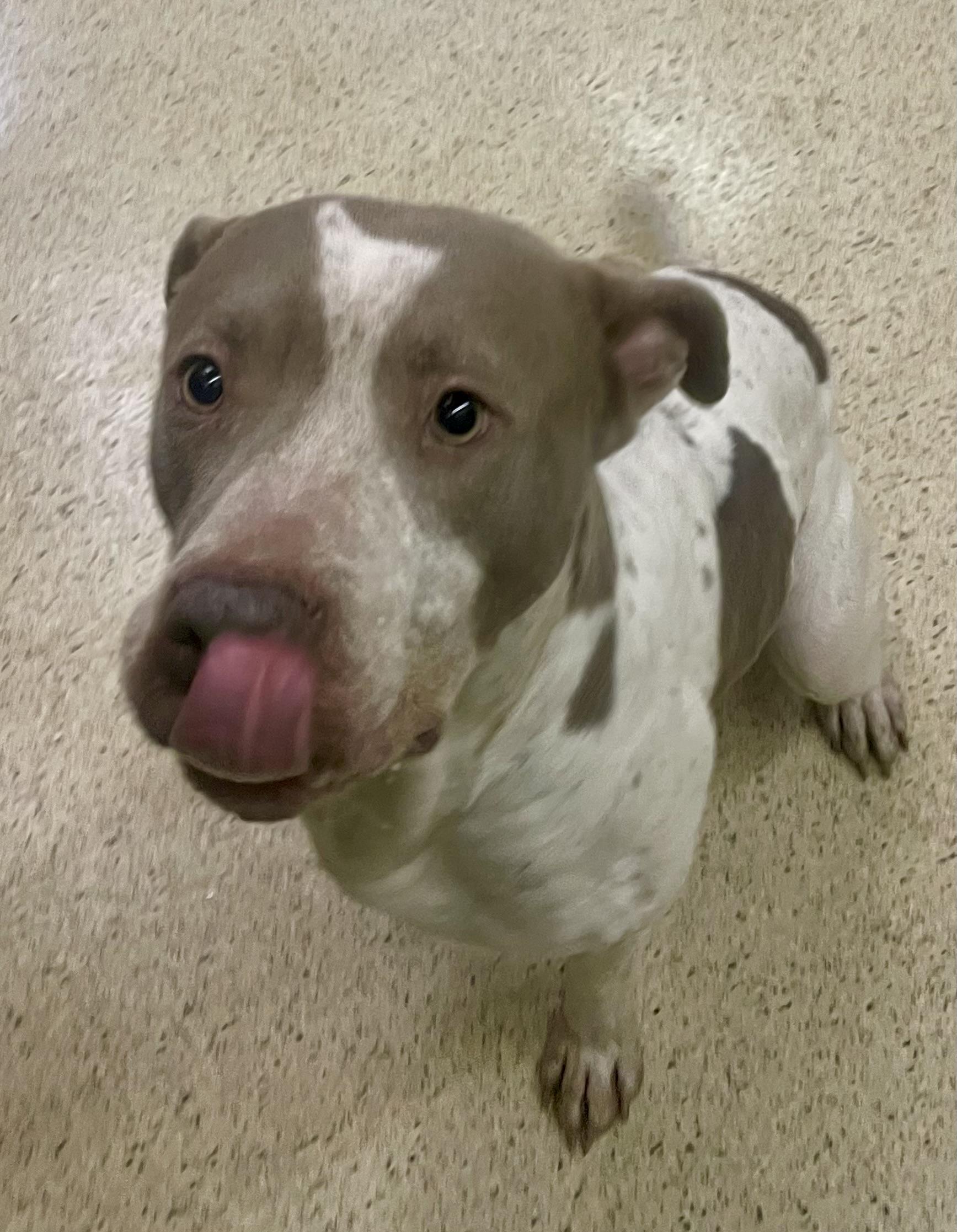 Madoc — thumbnail 2