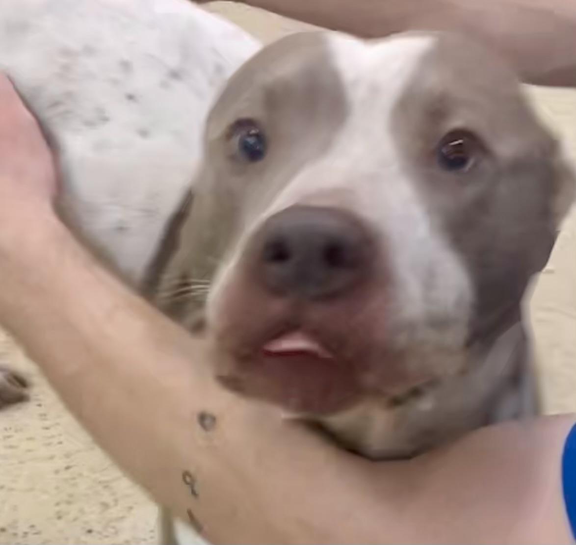 Madoc — thumbnail 3