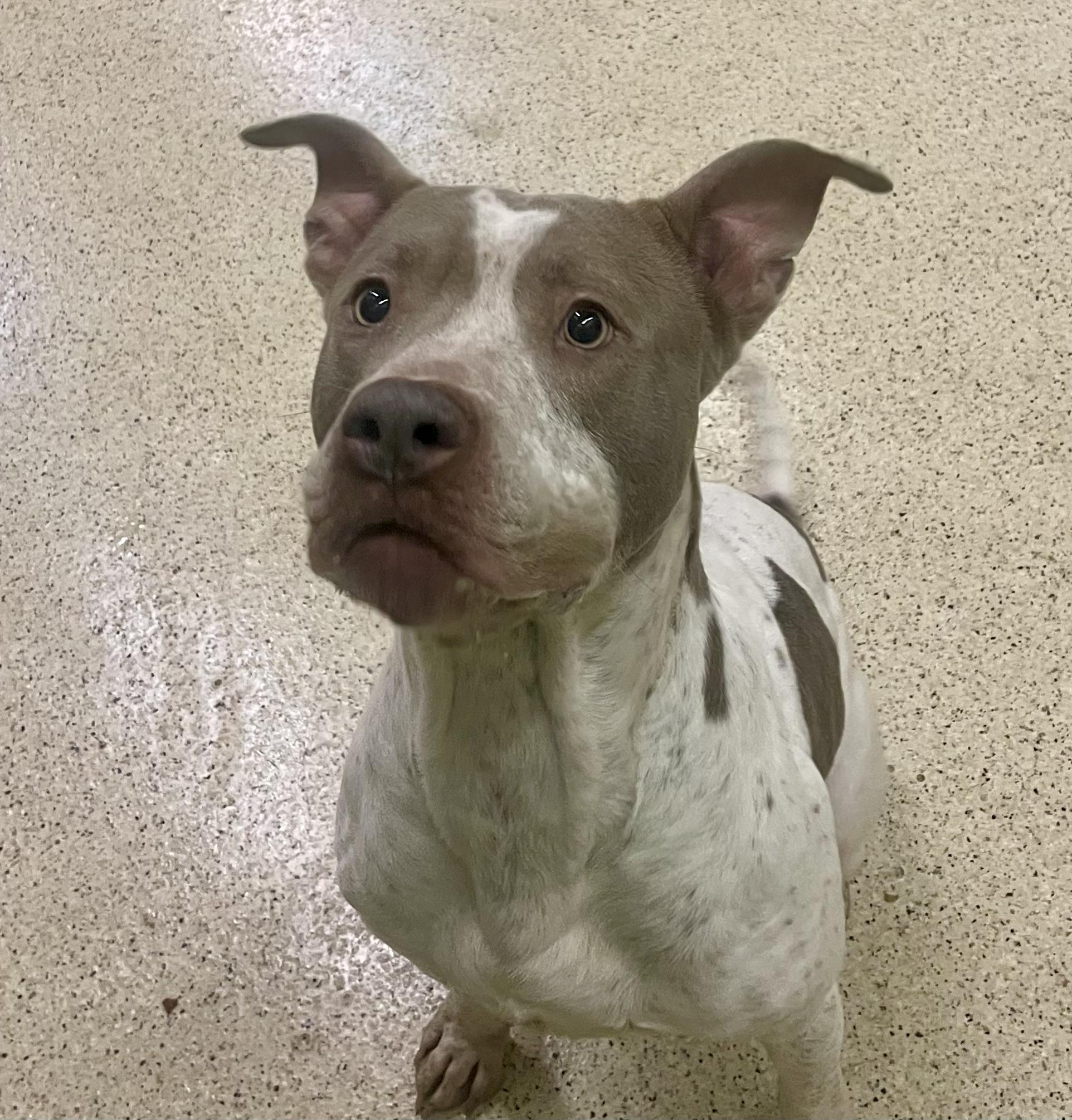 Madoc — thumbnail 4