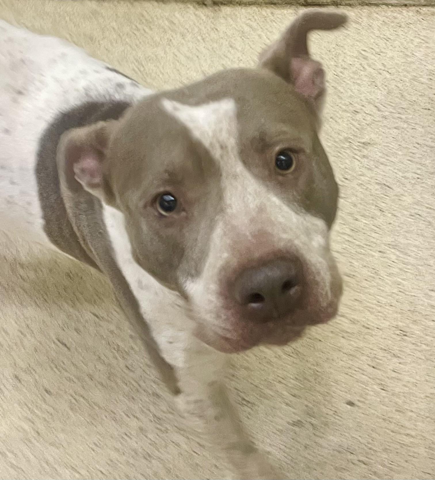 Madoc — thumbnail 6