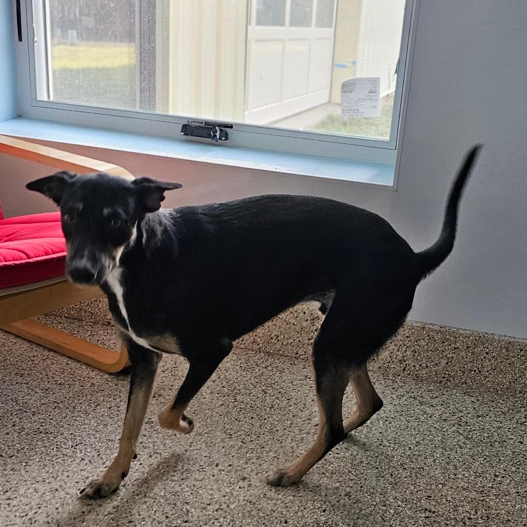 Cuddles — thumbnail 2