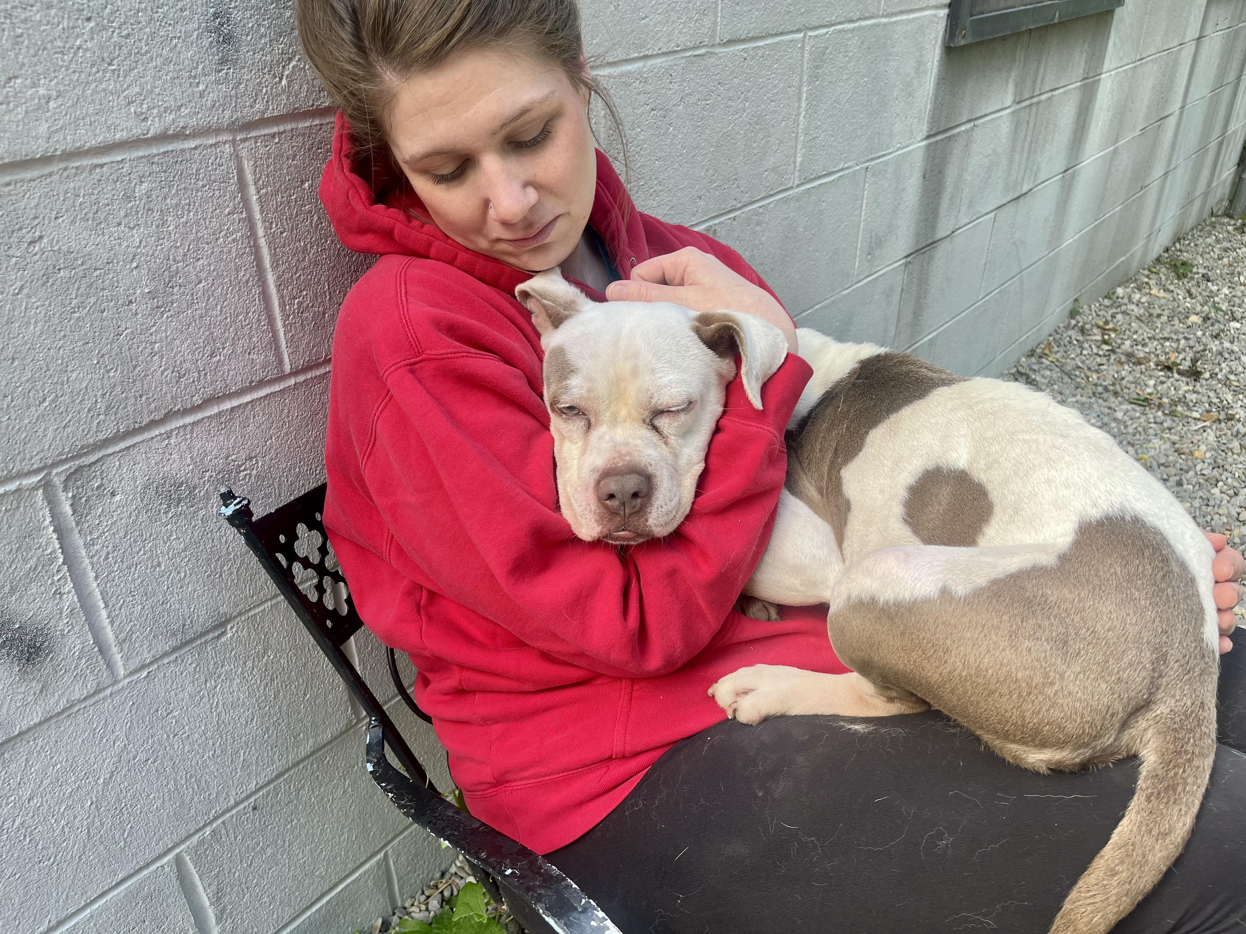 Enlarge Cece, a Adopted mixed breed in East Orange, NJ image 3/6