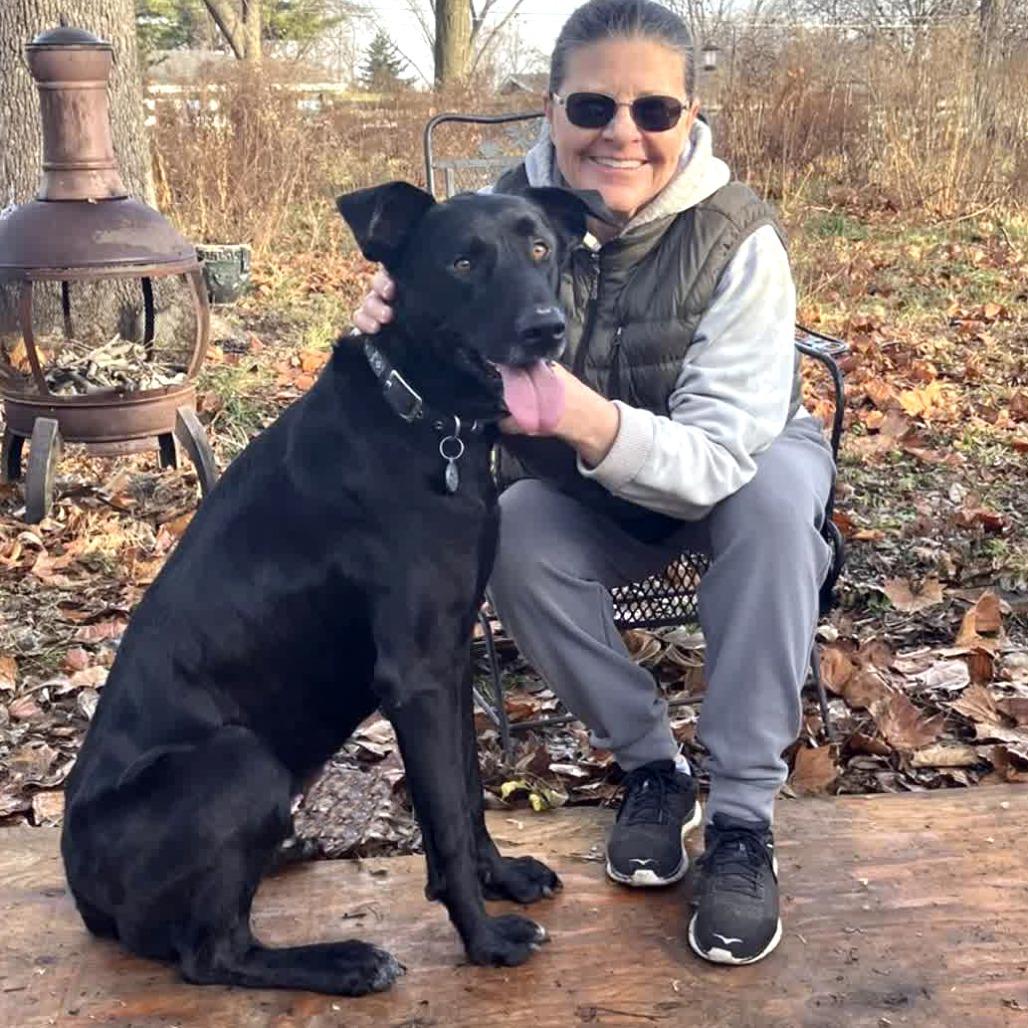 Enlarge Better Than Burt Reynolds, a Adoptable mixed breed in Kansas City, MO image 3/6