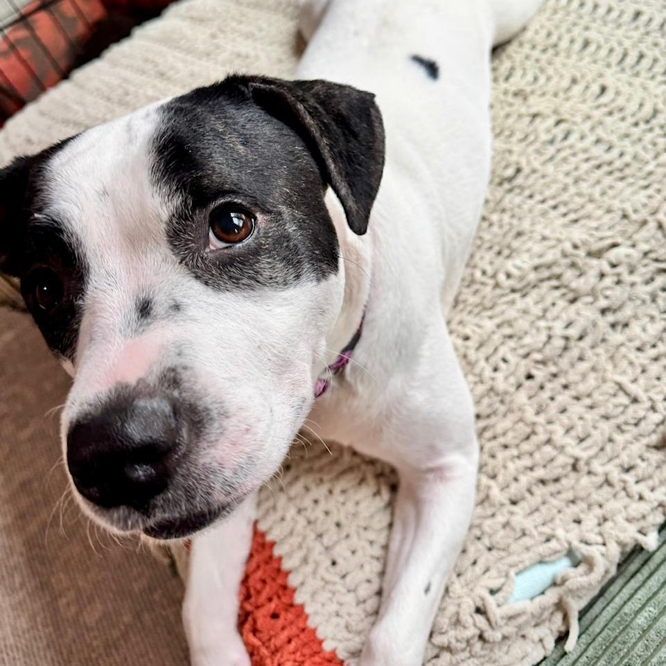 Trudy — thumbnail 3