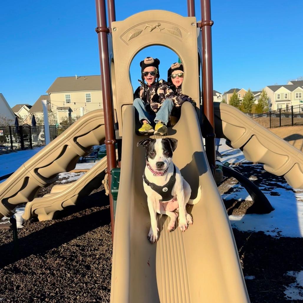 Trudy — thumbnail 4