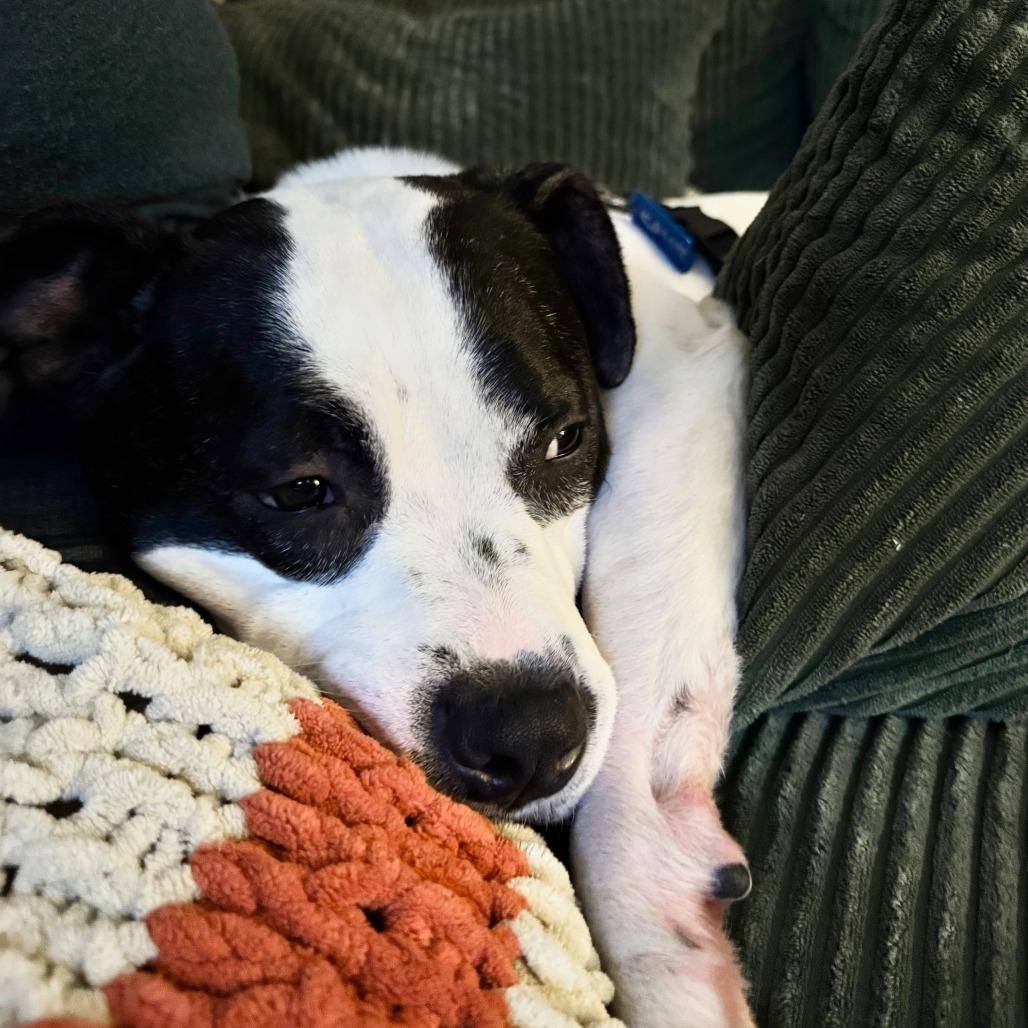 Trudy — thumbnail 5