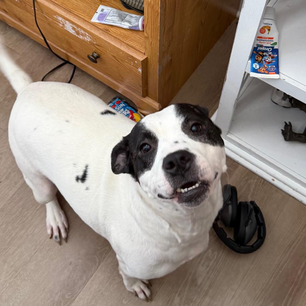 Trudy — thumbnail 6