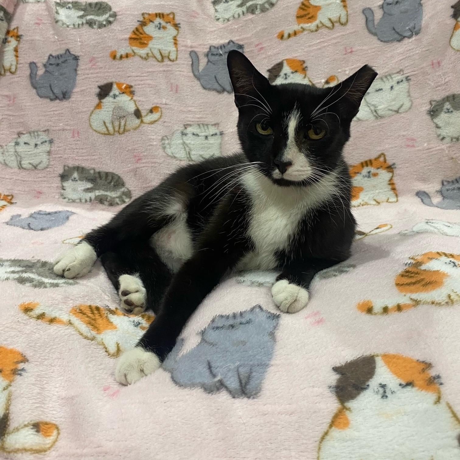 Tux
