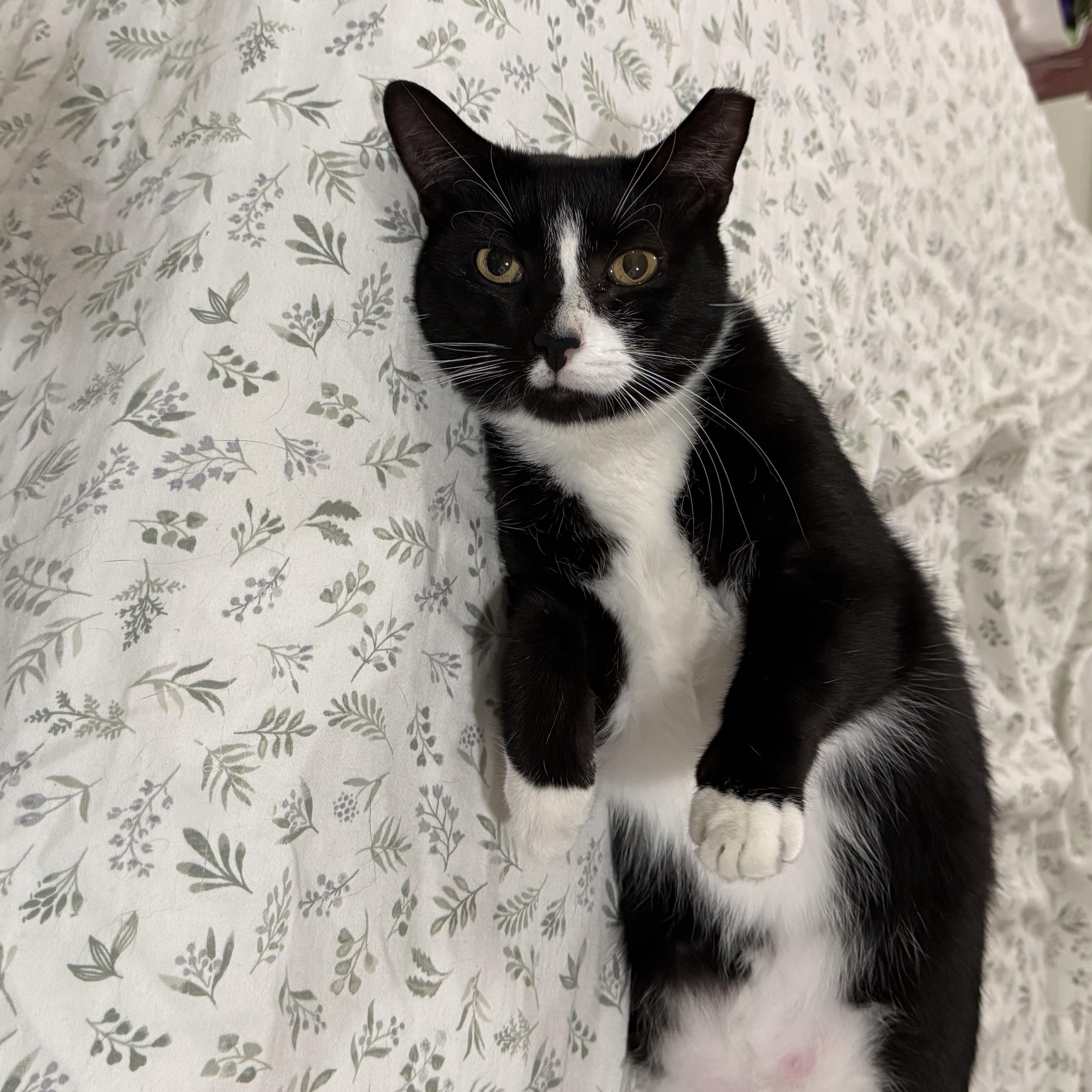 Tux