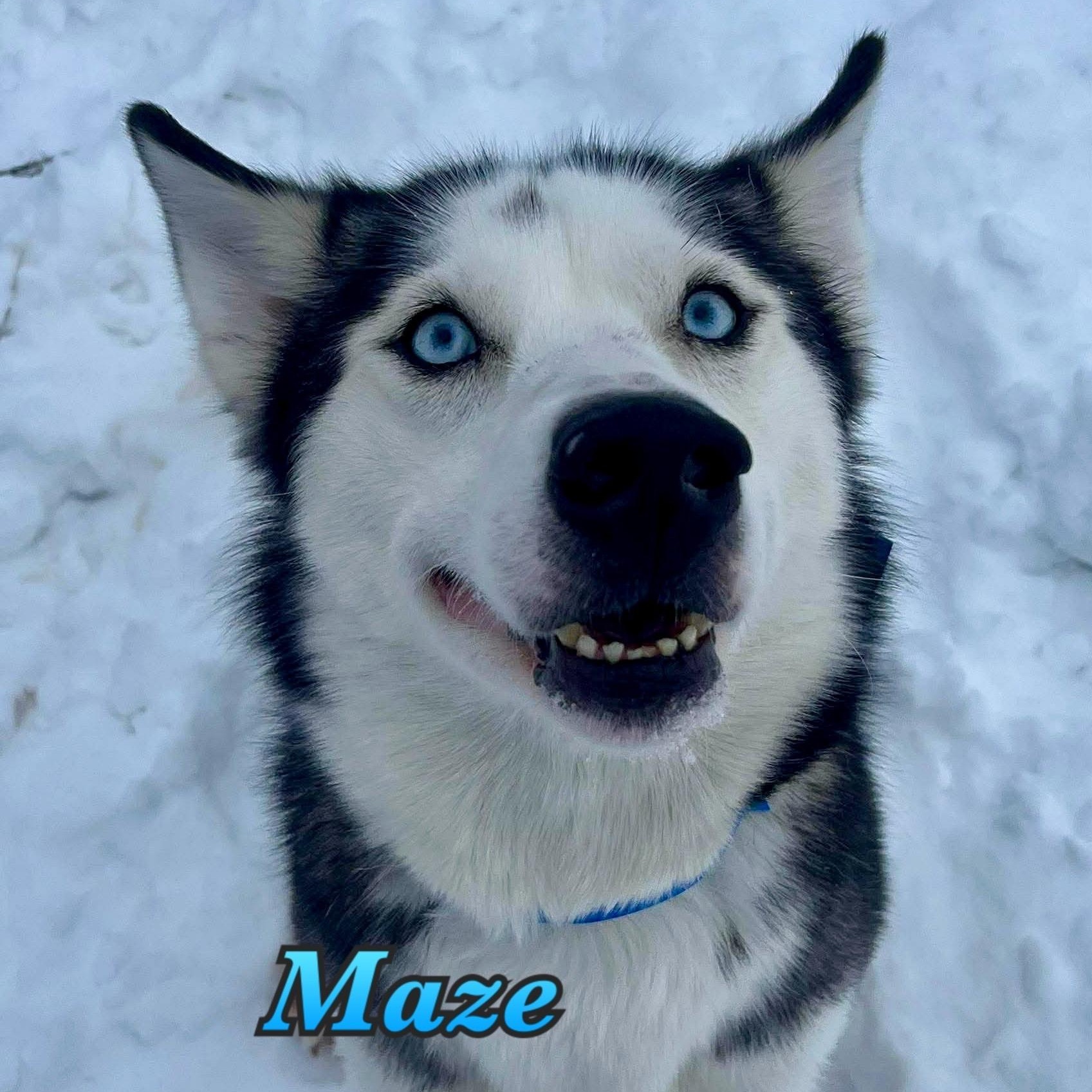 Maze — thumbnail 2