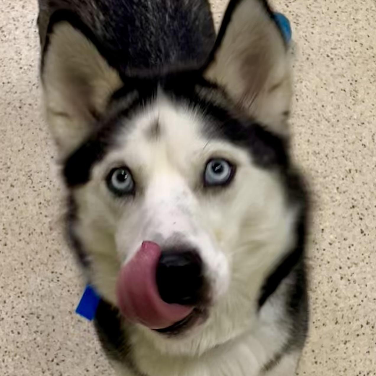 Maze — thumbnail 3