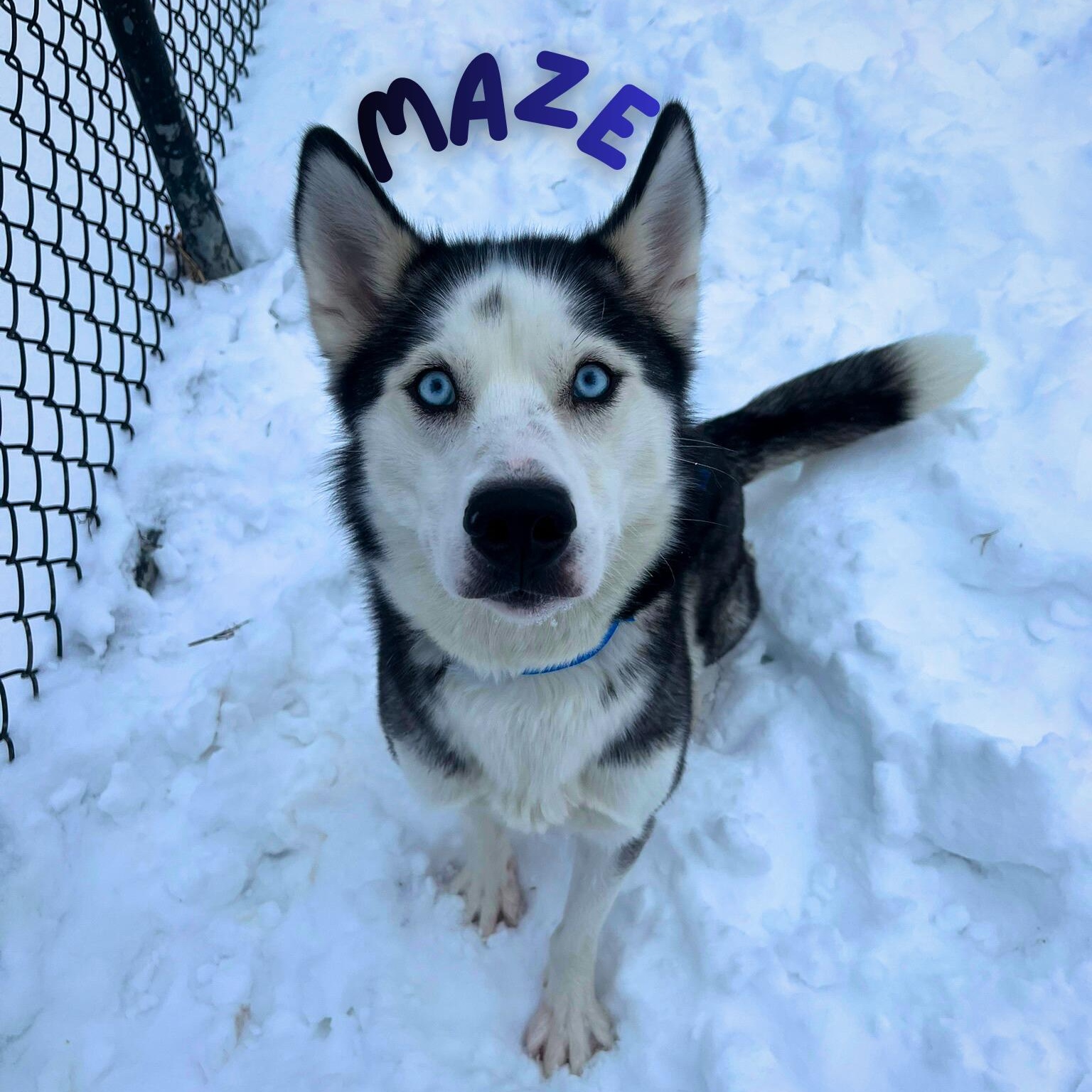 Maze — thumbnail 4