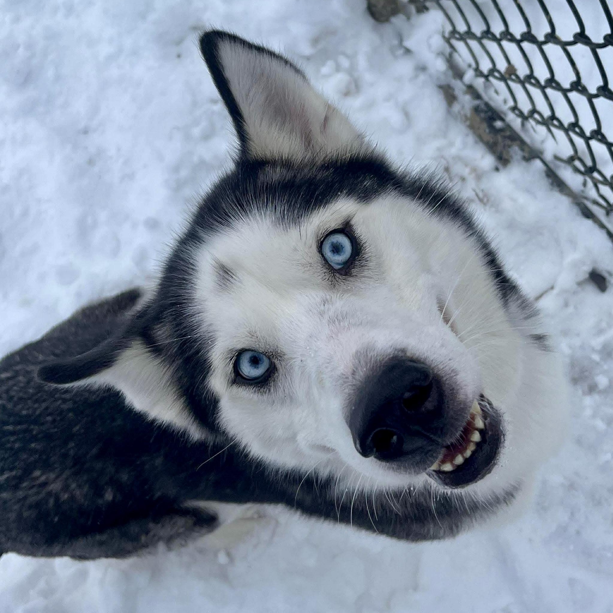 Maze — thumbnail 5