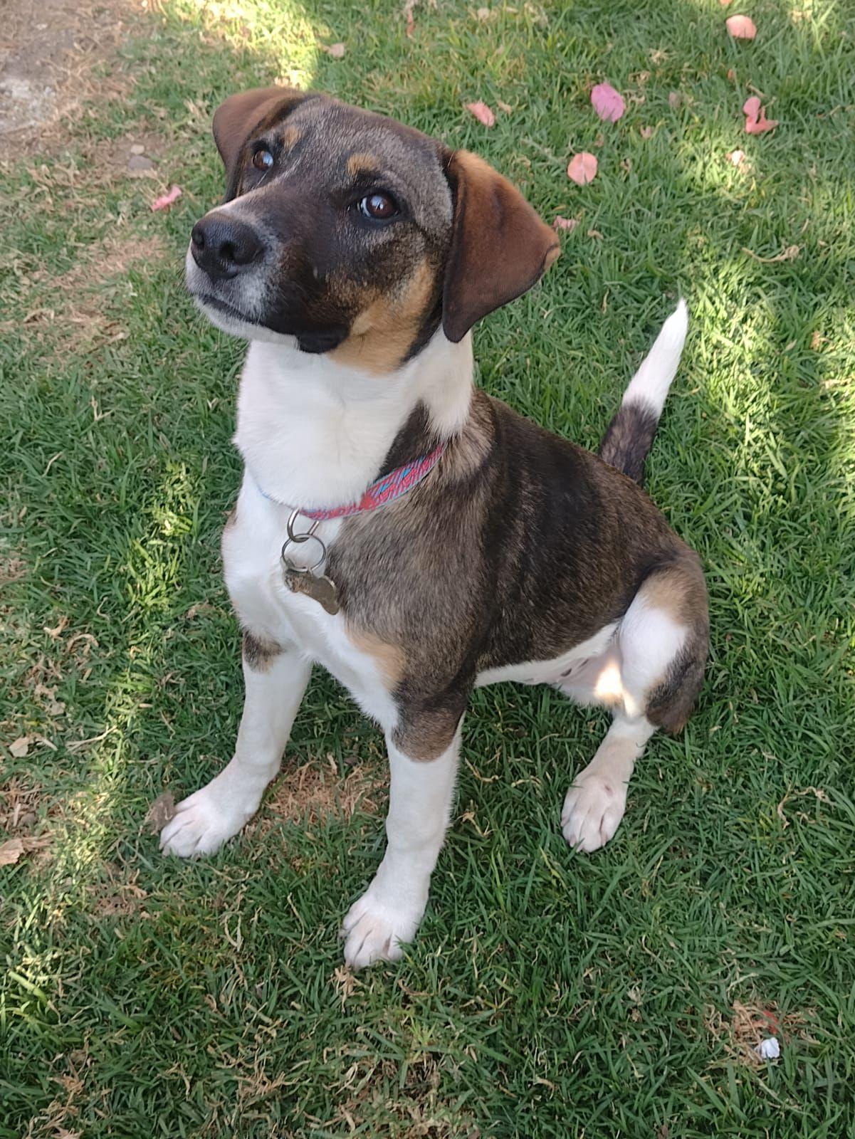 Moka — thumbnail 2