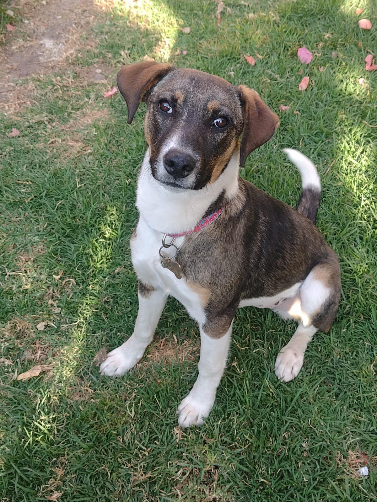 Moka — thumbnail 3