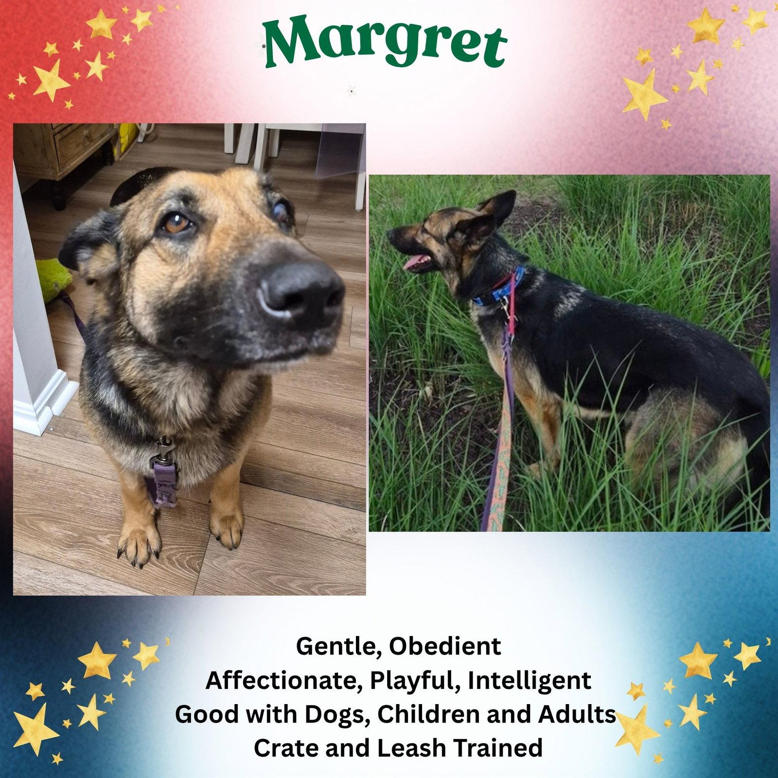 Enlarge Margret, a Adoptable German Shepherd Dog in Baltimore, MD image 2/3