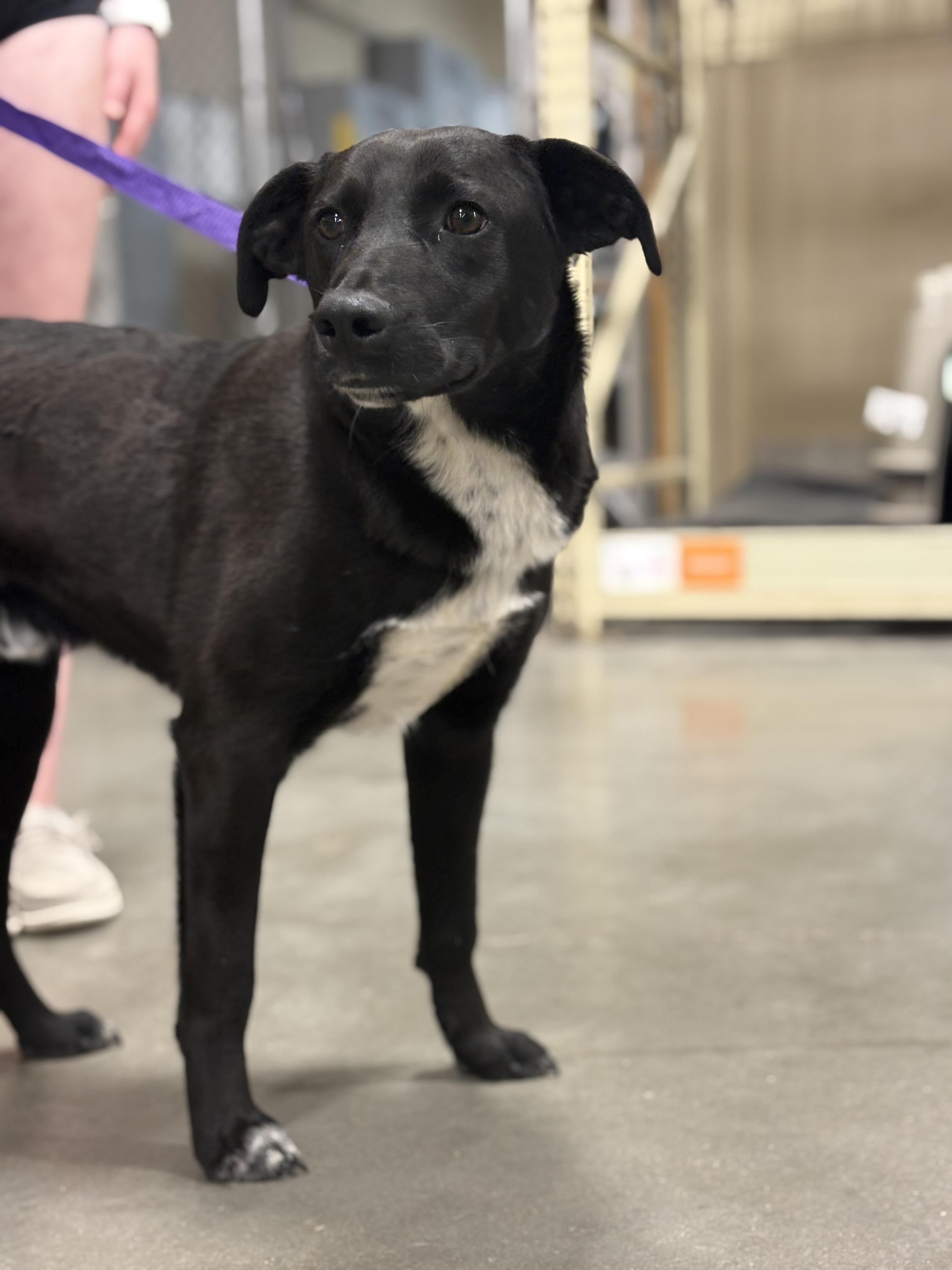 Happy — thumbnail 2