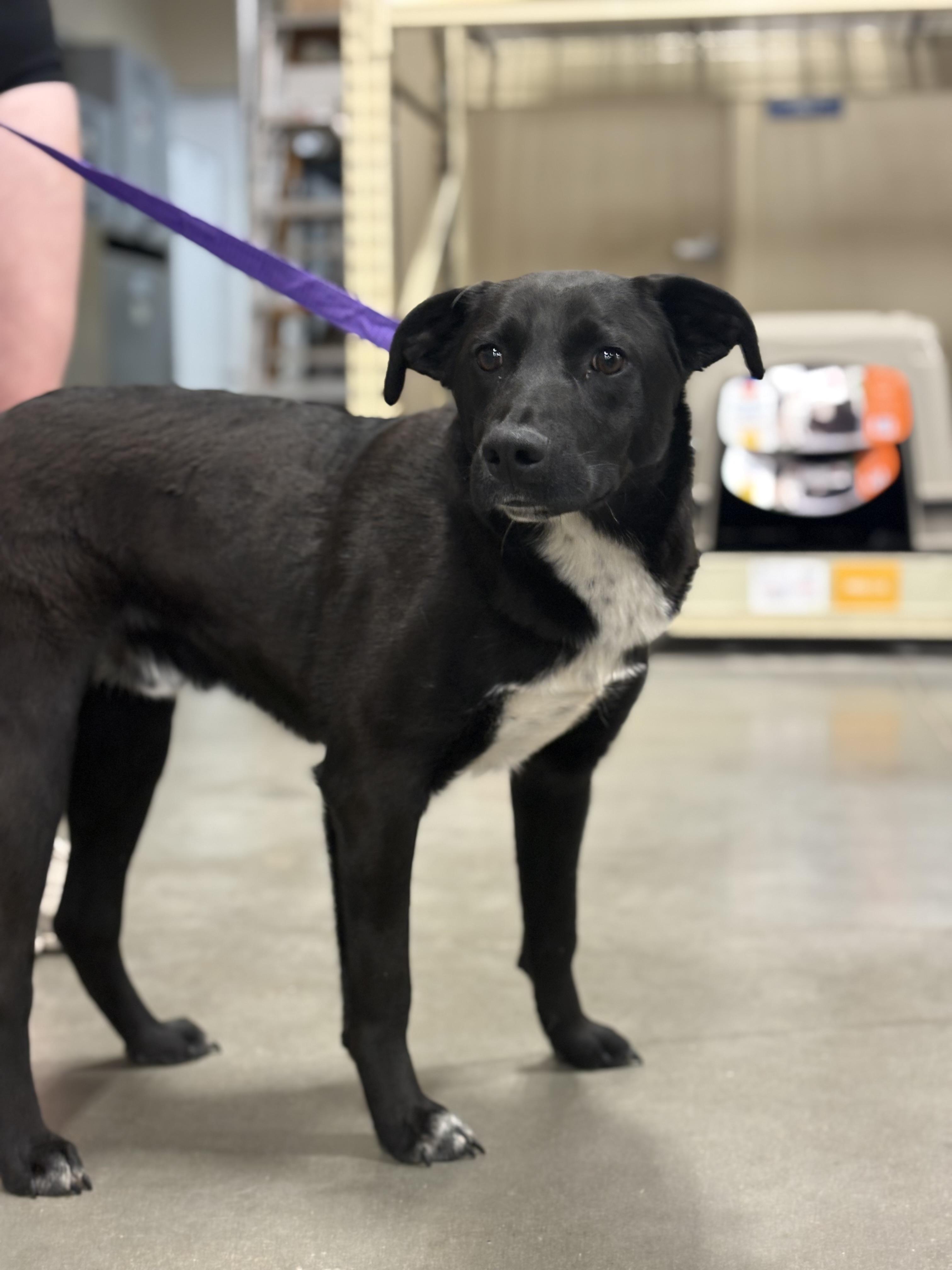 Happy — thumbnail 3