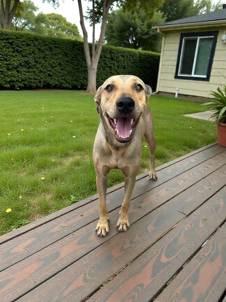 Joaquin — thumbnail 2