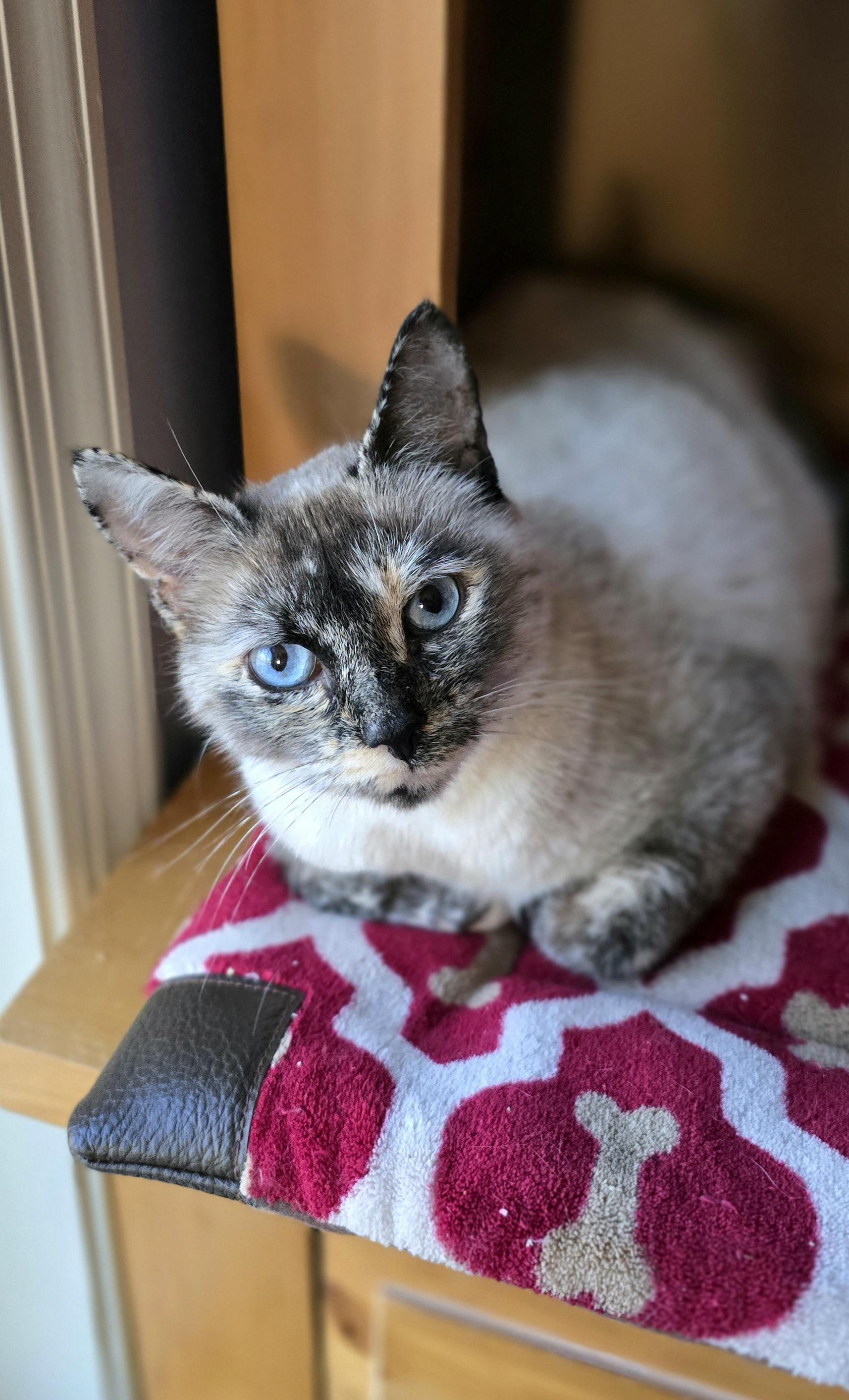 Sapphire — thumbnail 3