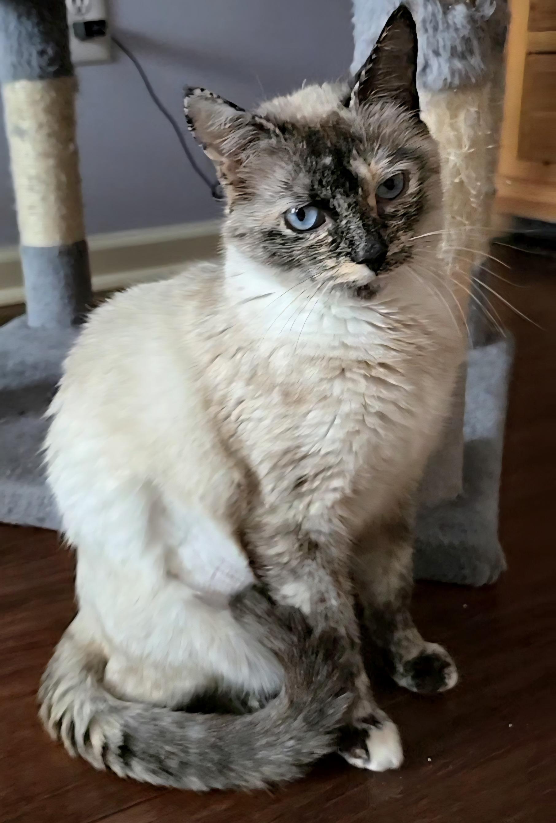 Sapphire — thumbnail 5