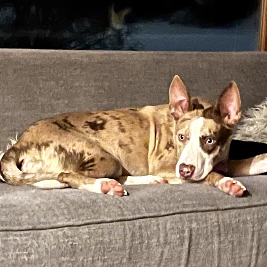 Mont Blanc thumbnail 2