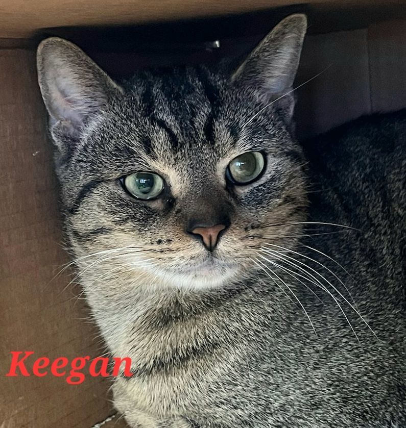 Keegan 3