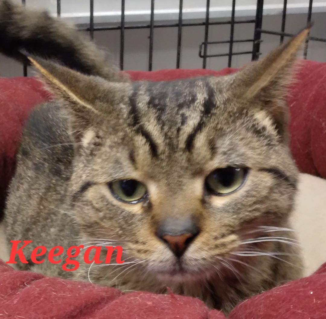 Keegan 2