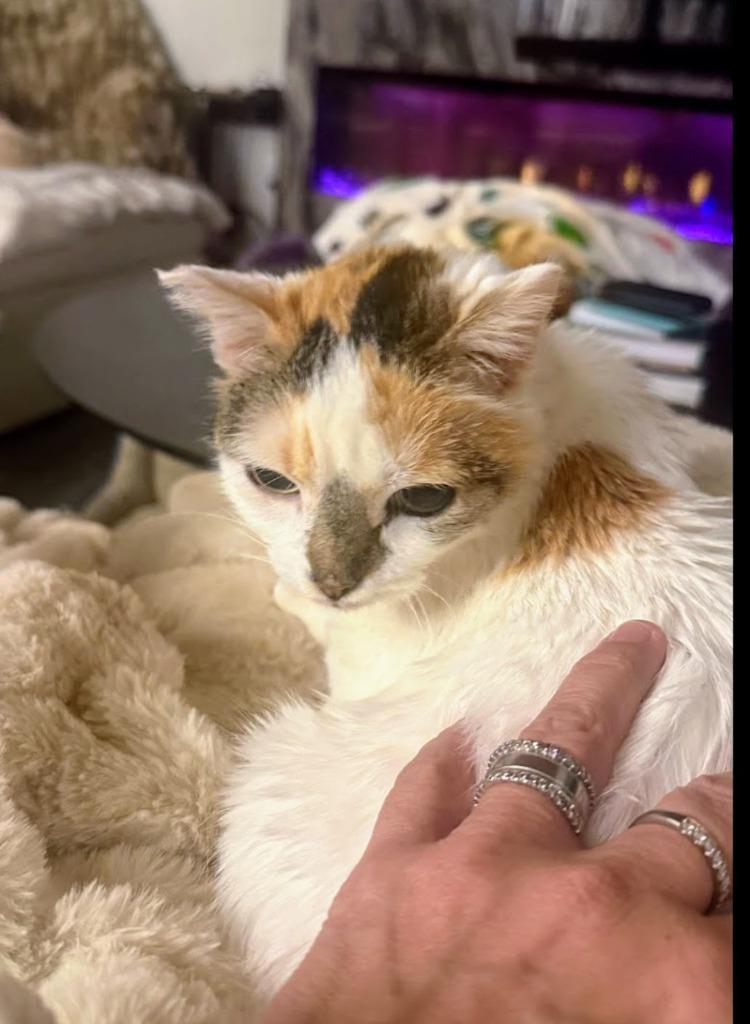 Kata — thumbnail 2