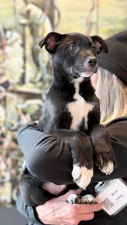 Baby Ruth — thumbnail 2