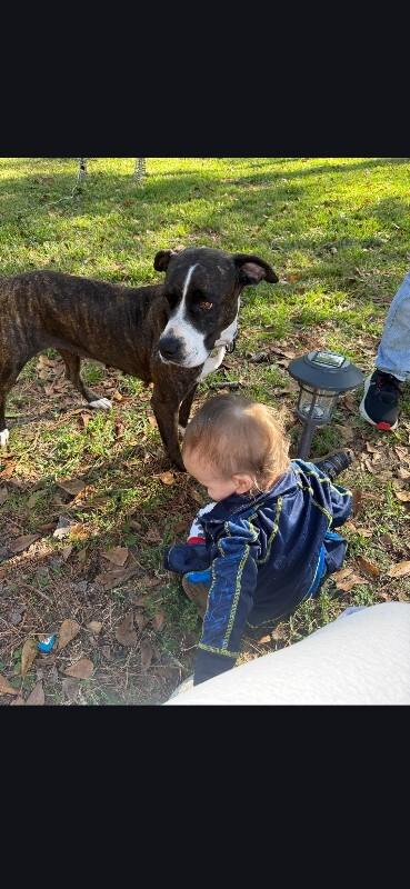 Mabel Loves Stuffies